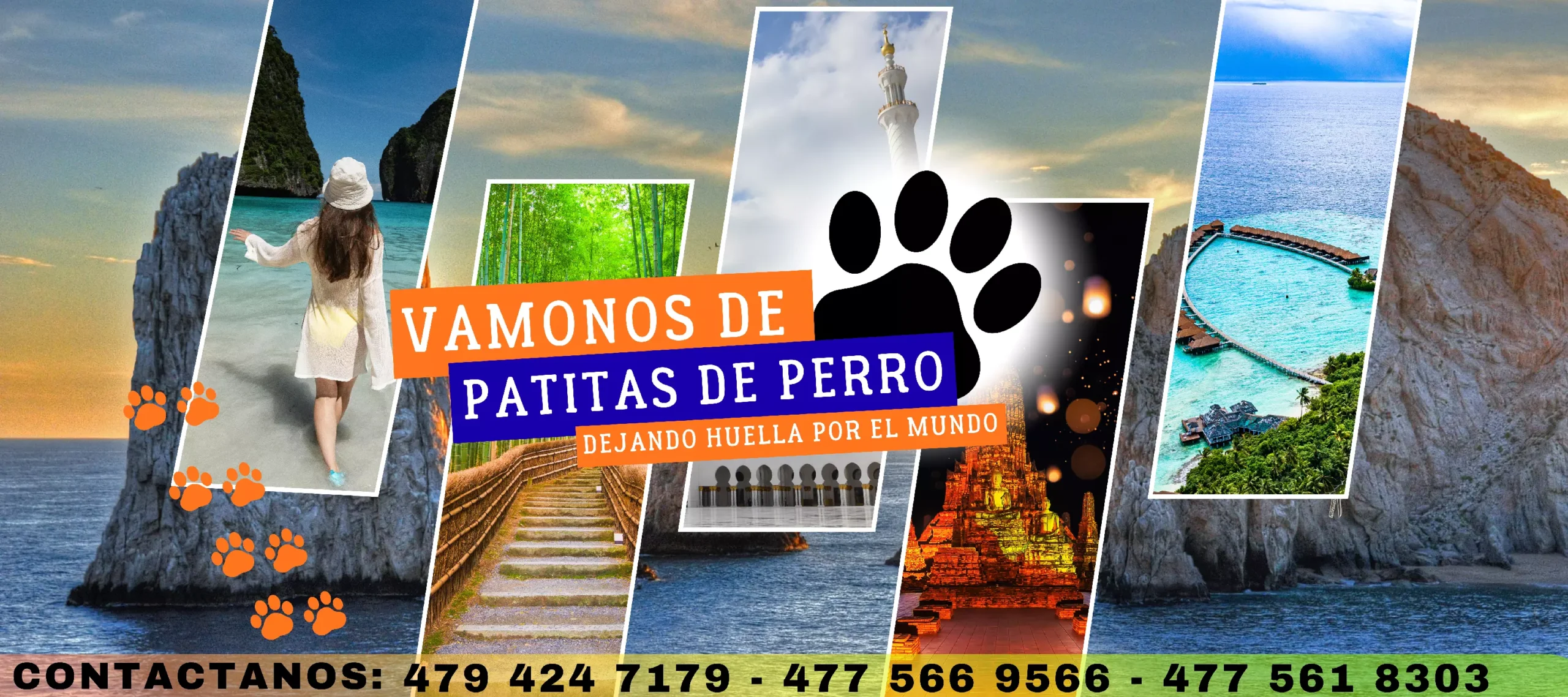 Vamonos de patitas de perro-3
