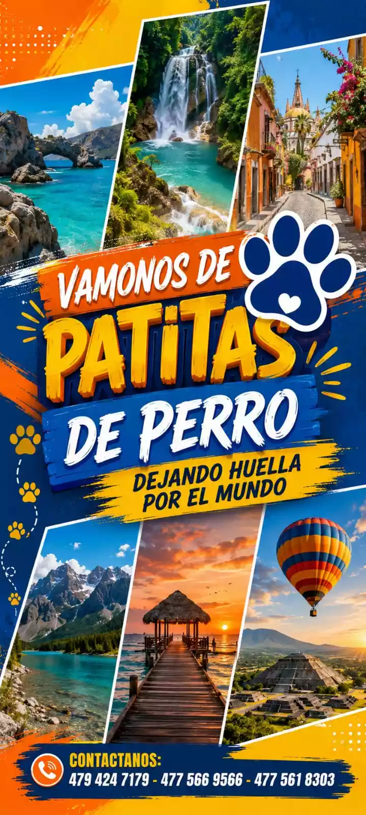 patitas-2